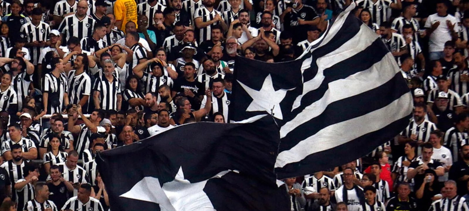Pressão aumenta: torcedores do Botafogo pedem saída de Davide Ancelotti antes de enfrentar o Mirassol - Imagem do artigo